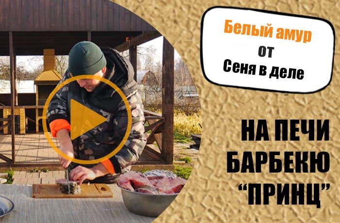 превью
